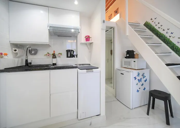 Agreable Rue Anibes-hyper Centre A0b211 Daire